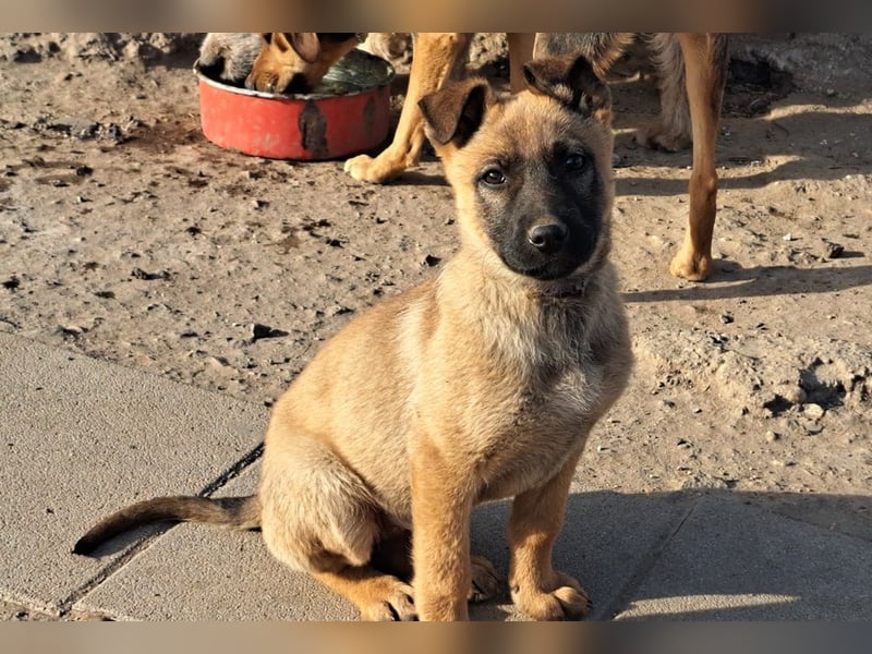 Kleine Freya ( * 01/2026 ) sucht ihre Familie