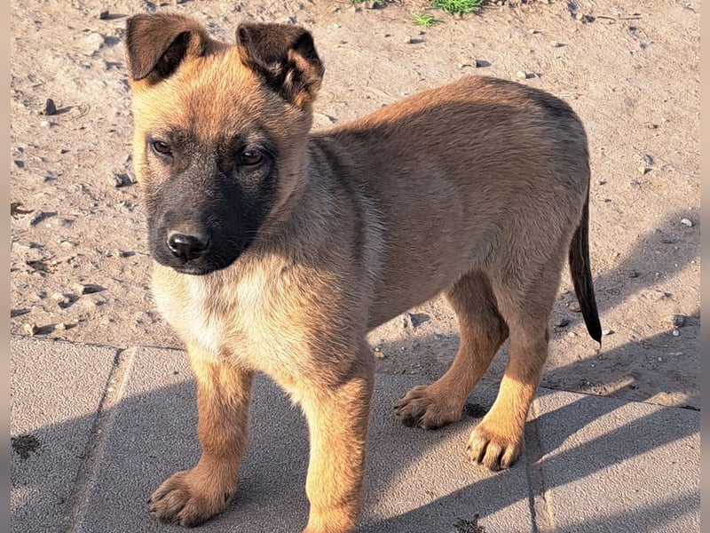 Kleine Freya ( * 01/2026 ) sucht ihre Familie