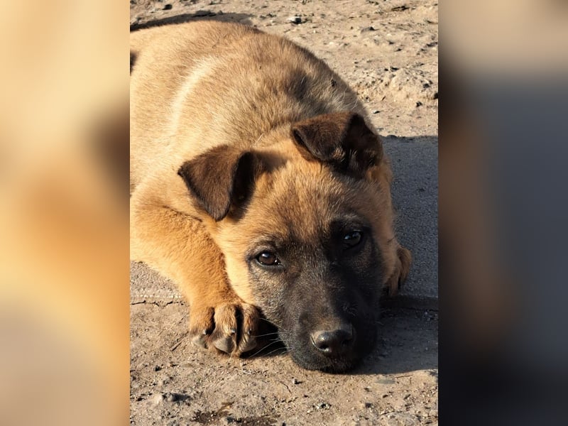 Kleine Freya ( * 01/2026 ) sucht ihre Familie