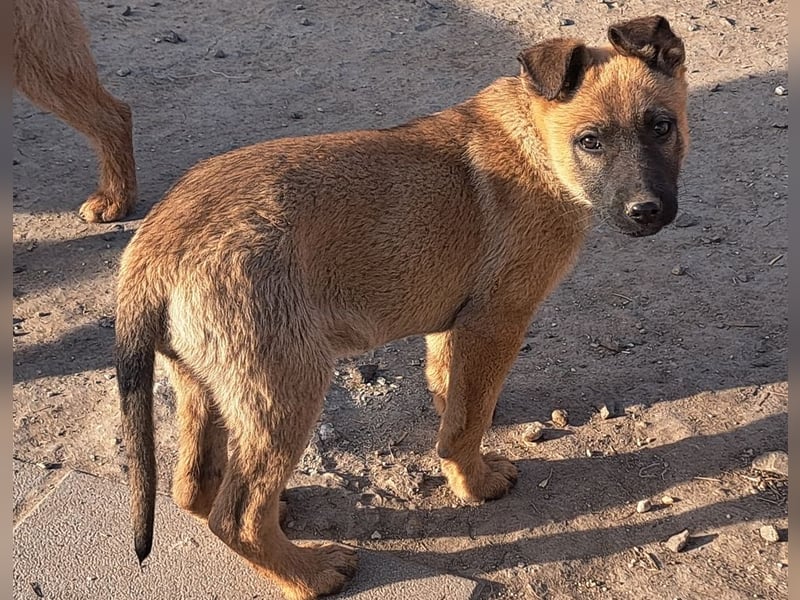 Kleine Freya ( * 01/2026 ) sucht ihre Familie