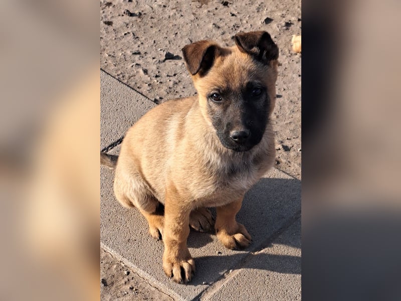 Kleine Freya ( * 01/2026 ) sucht ihre Familie