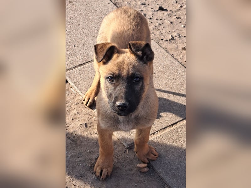 Kleine Freya ( * 01/2026 ) sucht ihre Familie