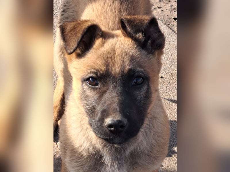 Kleine Freya ( * 01/2026 ) sucht ihre Familie