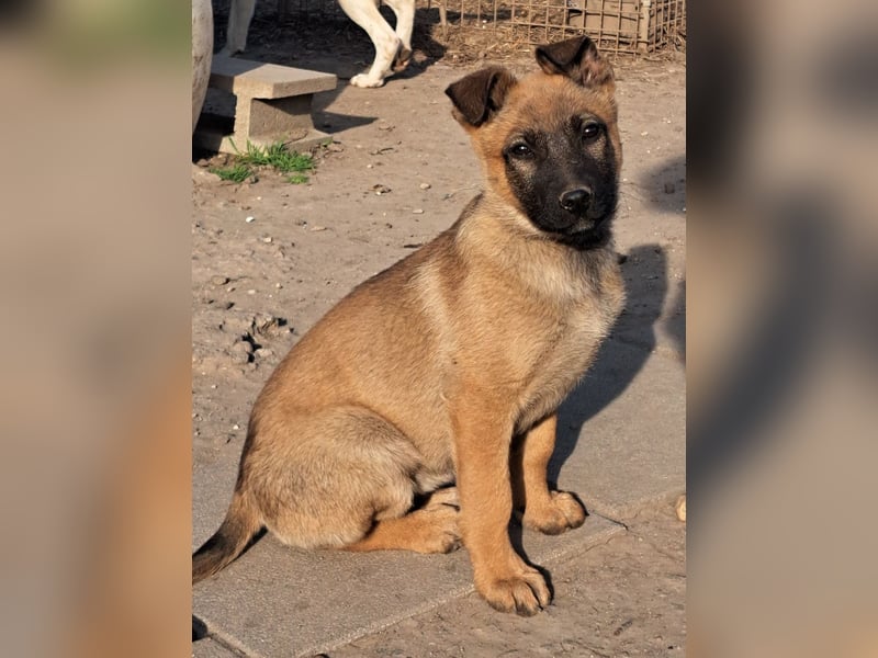 Kleine Freya ( * 01/2026 ) sucht ihre Familie