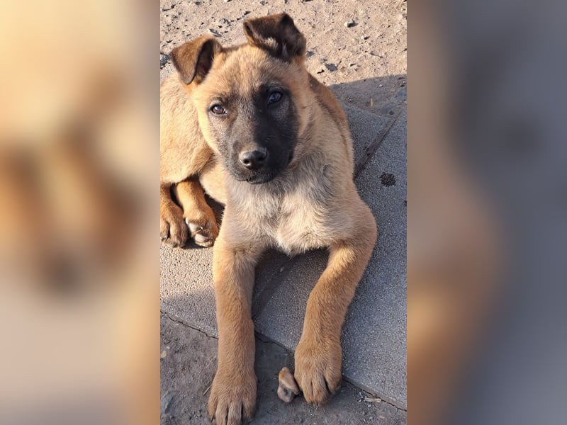 Kleine Freya ( * 01/2026 ) sucht ihre Familie