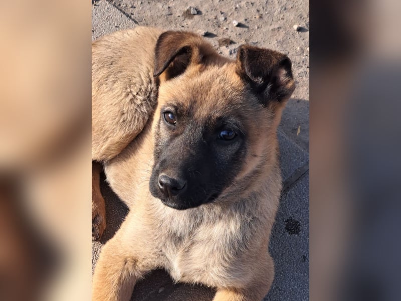 Kleine Freya ( * 01/2026 ) sucht ihre Familie