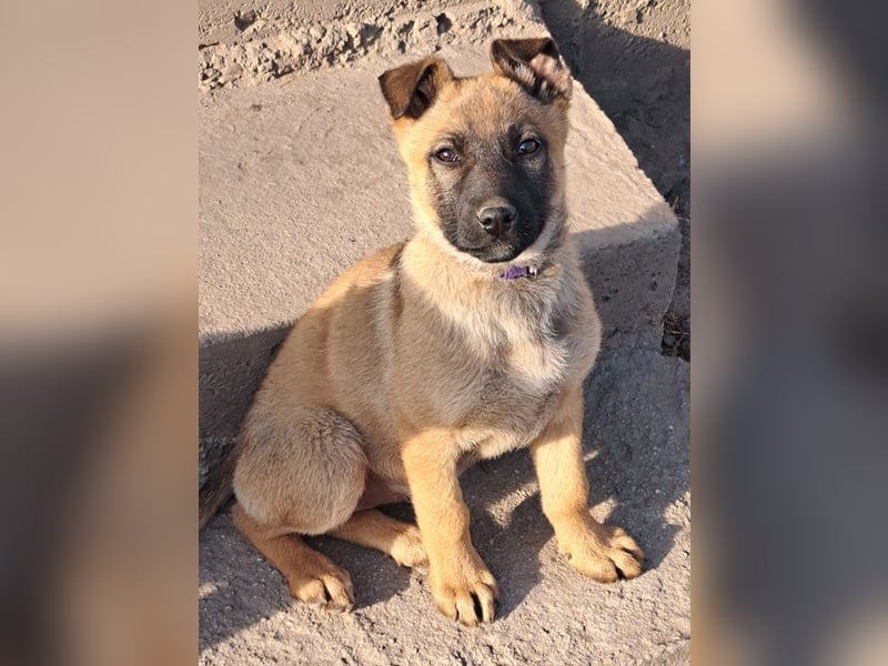 Kleine Freya ( * 01/2026 ) sucht ihre Familie