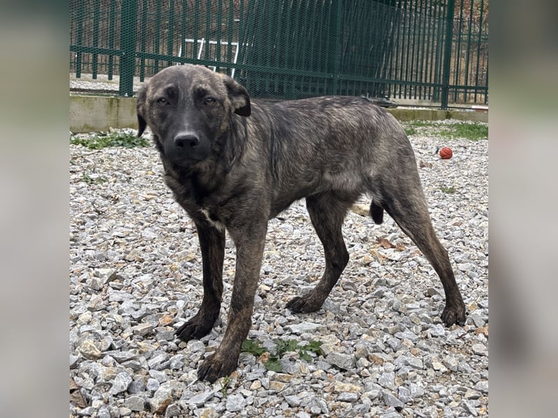 Stella, ein winziges zartes sanftes Wesen