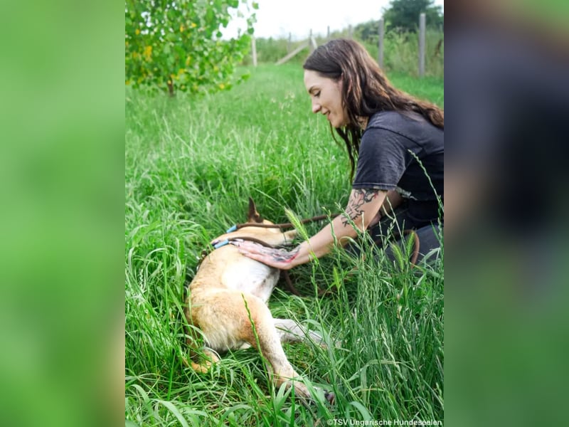 Shenzi – bereit für ein Leben mit weniger Lärm und mehr Liebe