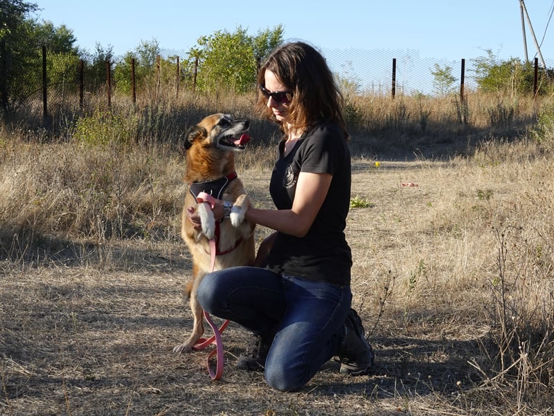 Sanfte Arisha sucht einfühlsames Zuhause