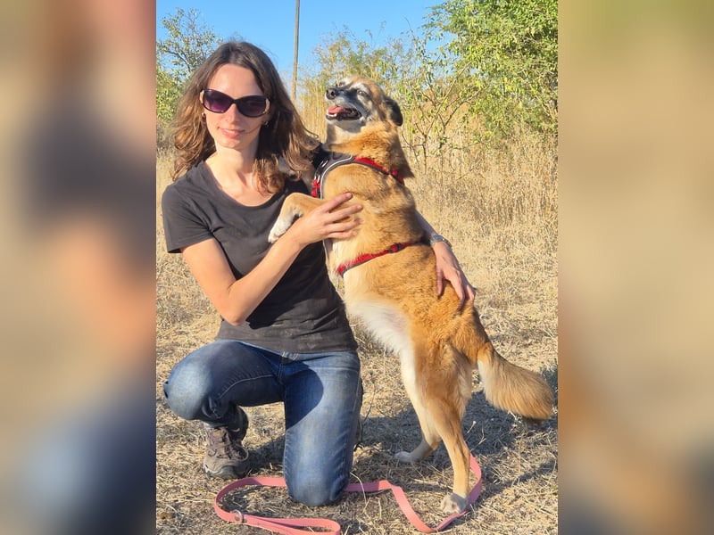 Sanfte Arisha sucht einfühlsames Zuhause