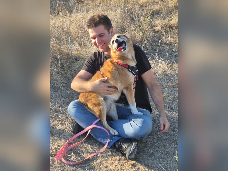 Sanfte Arisha sucht einfühlsames Zuhause