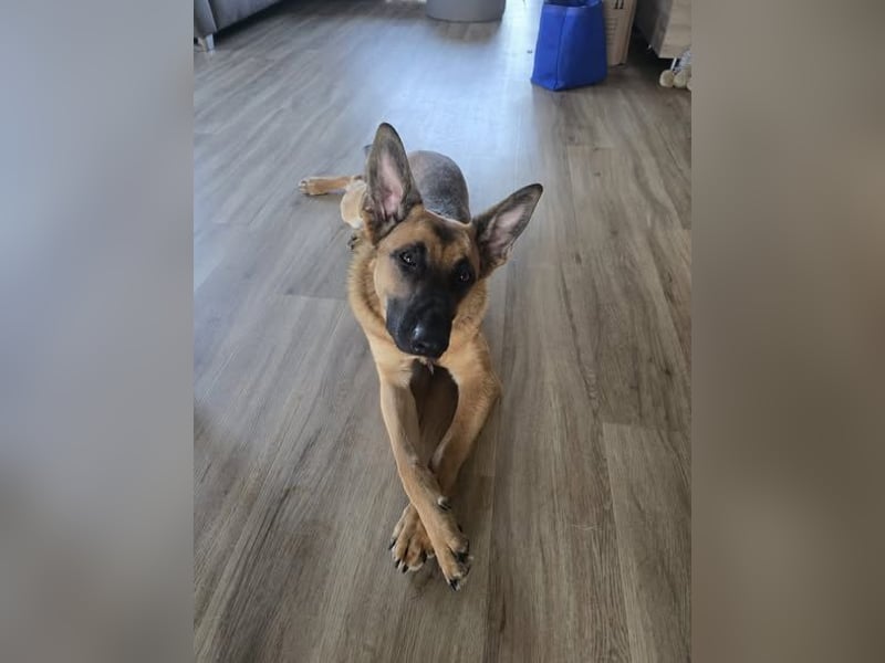 Fönix aktiver Mali Mix