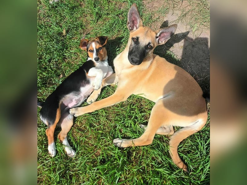 TALVI - gefunden auf der Straße