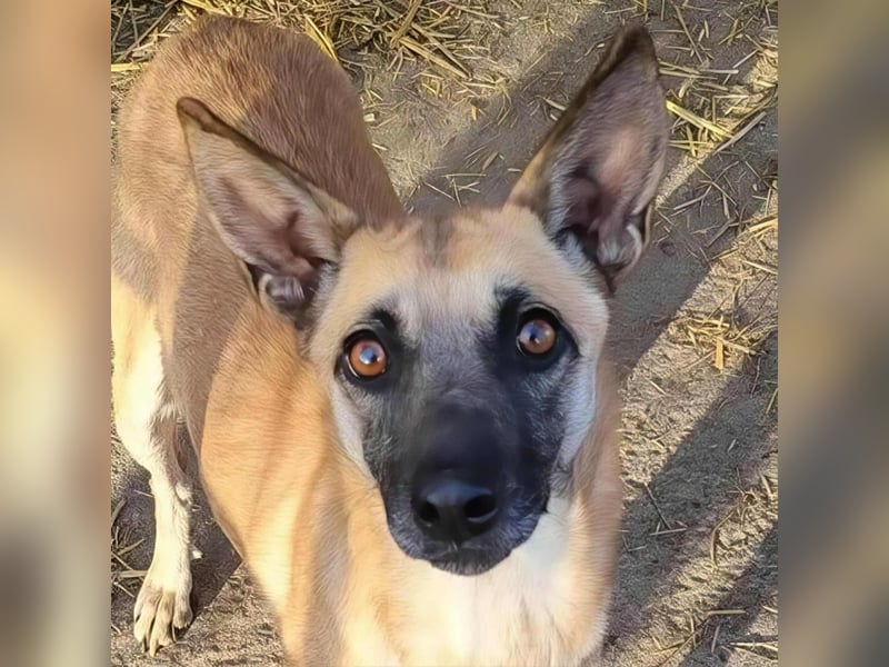 TALVI - gefunden auf der Straße