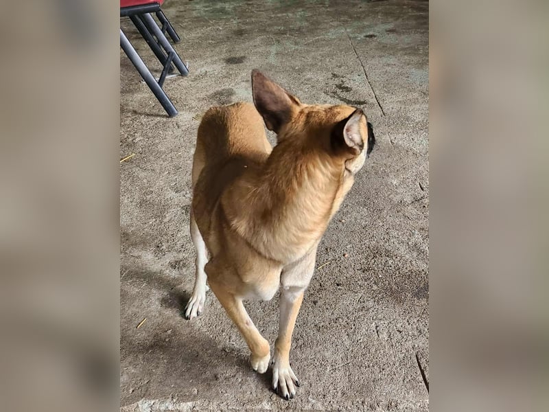 TALVI - gefunden auf der Straße