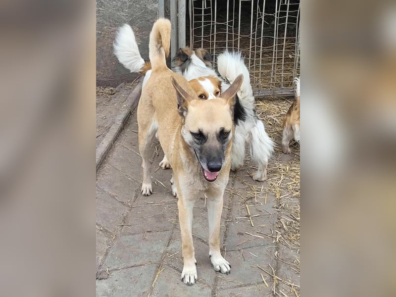 TALVI - gefunden auf der Straße