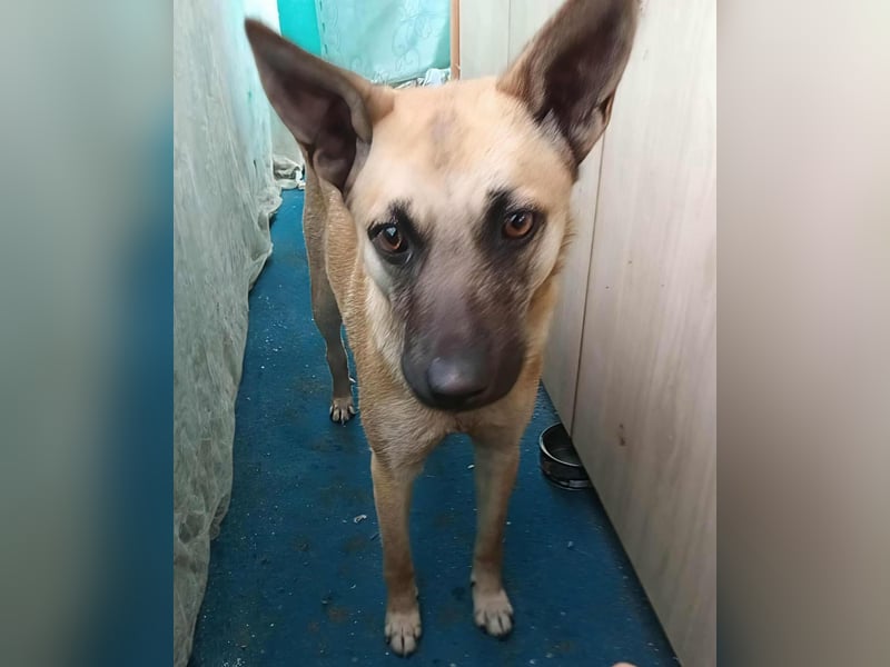 TALVI - gefunden auf der Straße