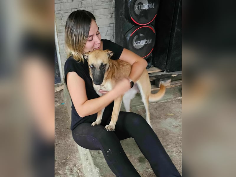 TALVI - gefunden auf der Straße