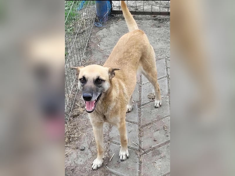 TALVI - gefunden auf der Straße