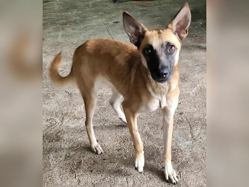 TALVI - gefunden auf der Straße