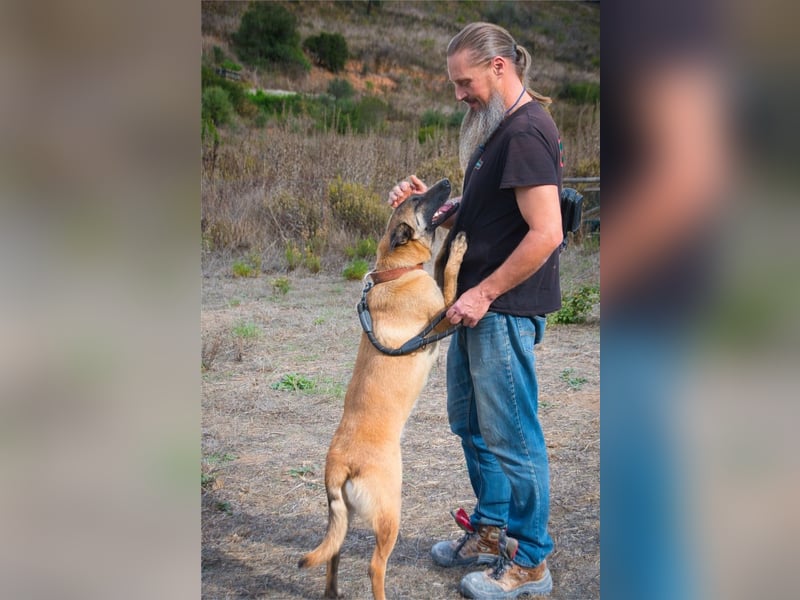 Lady – eine Gefährtin mit Herz