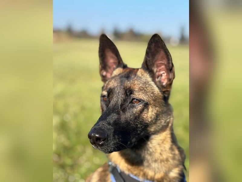 Reika möchte endlich ankommen (13469 Berlin)