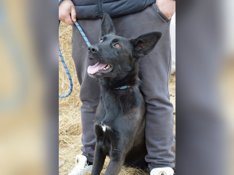 Piroska von kettenlos