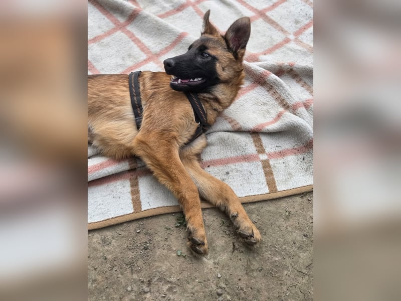 Skalina sucht ihr  Glück...