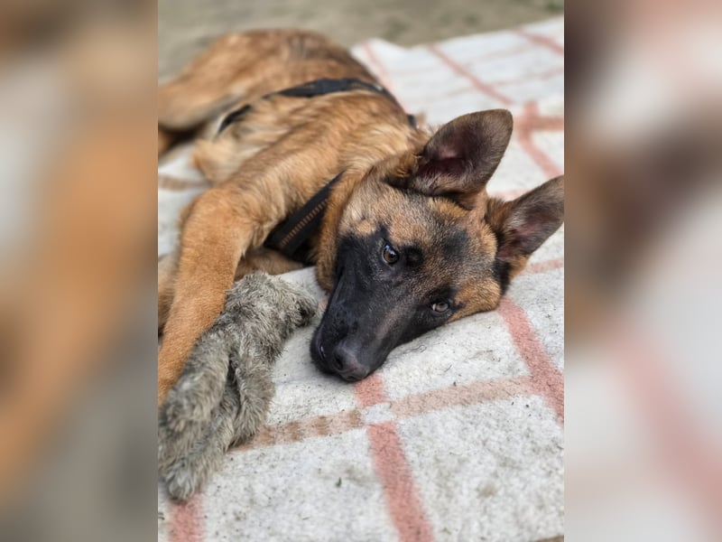 Skalina sucht ihr  Glück...