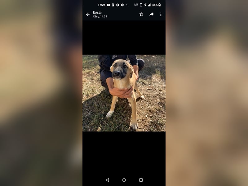 Benni, 07/23 – schlauer Bub ist neugierig auf die Welt