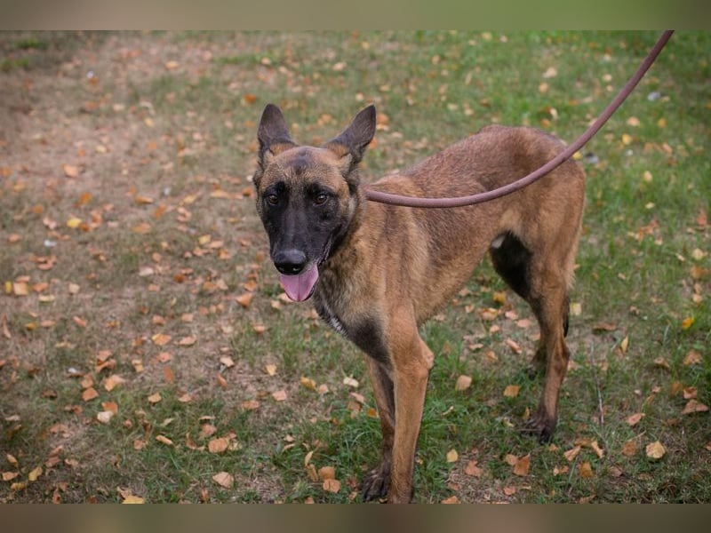 Airi: Sucht ein Zuhause