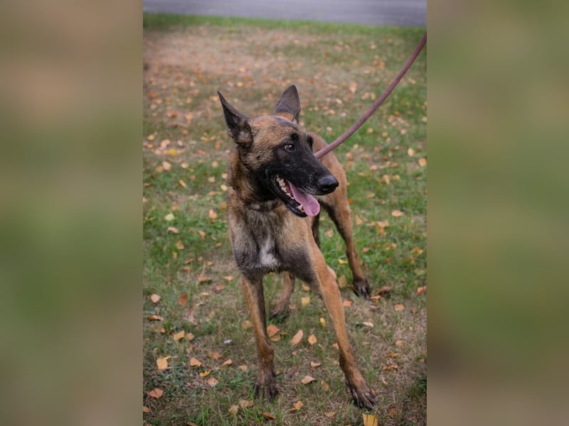 Airi: Sucht ein Zuhause