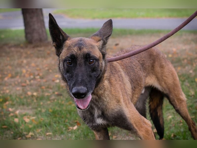 Airi: Sucht ein Zuhause