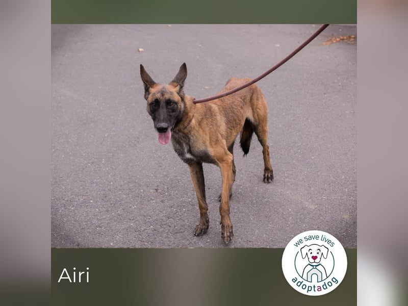 Airi: Sucht ein Zuhause