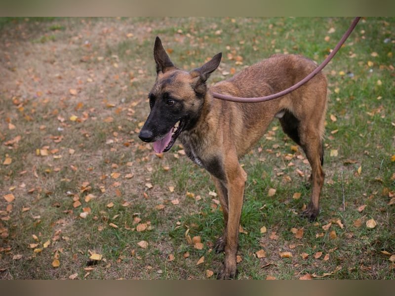 Airi: Sucht ein Zuhause