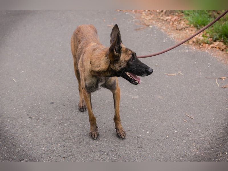 Airi: Sucht ein Zuhause