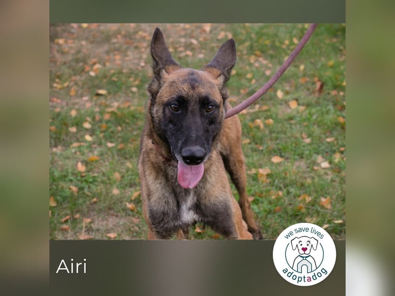 Airi: Sucht ein Zuhause