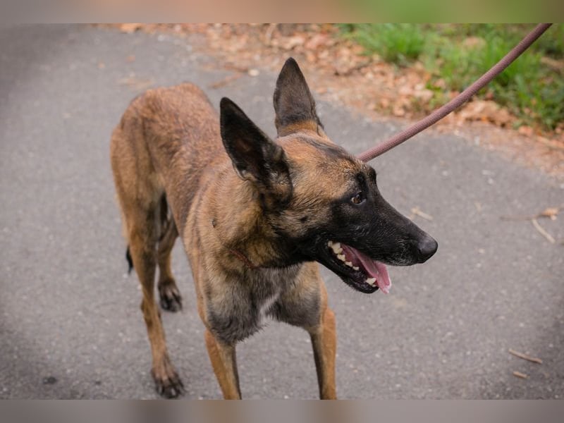 Airi: Sucht ein Zuhause