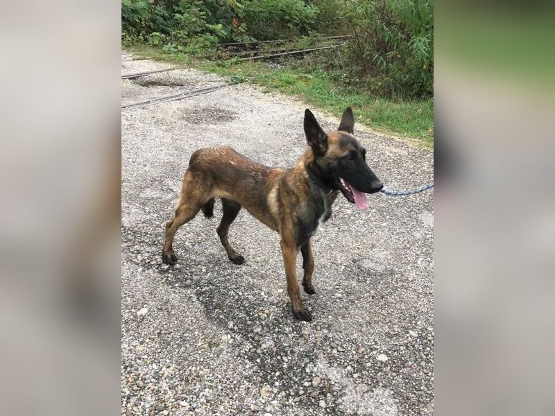 Airi: Sucht ein Zuhause