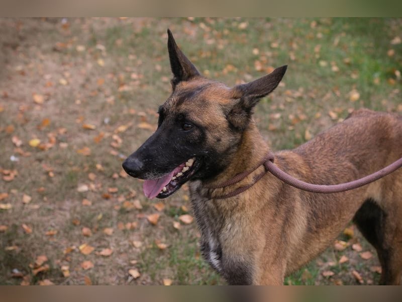 Airi: Sucht ein Zuhause