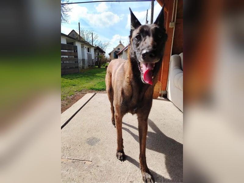 RA - ich wäre so gerne ein Teil DEINER Familie!