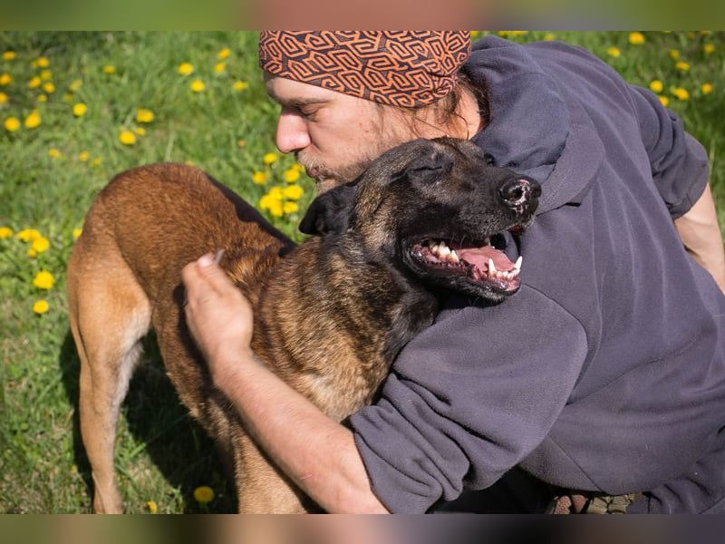 OLLI - ich warte auf ein hundeerfahrenes Zuhause, das mir Abwechslung und Bewegung bietet!