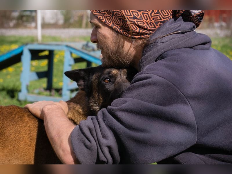 OLLI - ich warte auf ein hundeerfahrenes Zuhause, das mir Abwechslung und Bewegung bietet!