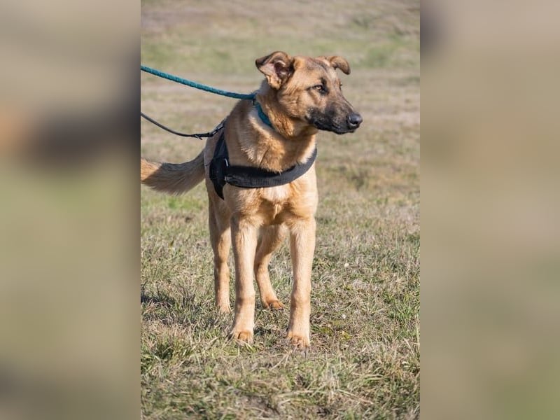 Anton SI - fröhlich, menschenbezogen