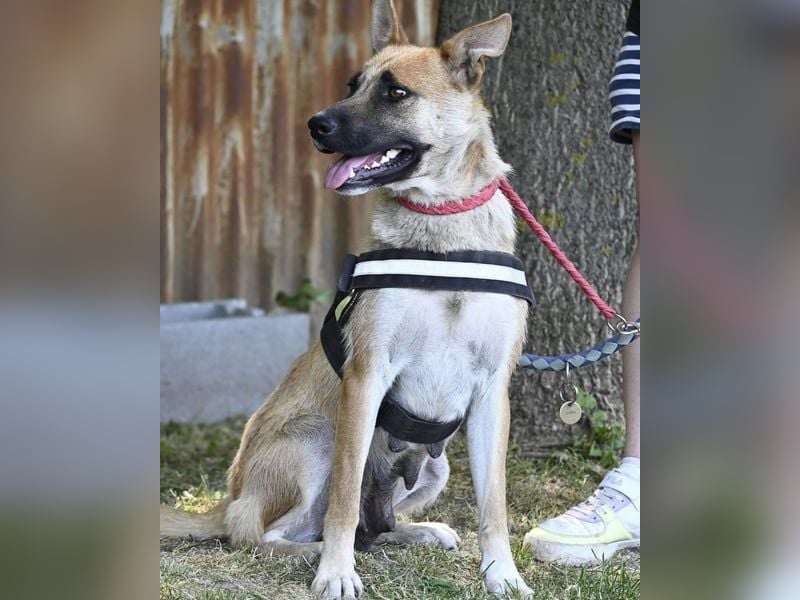 Dolores SI – lustig, neugierig