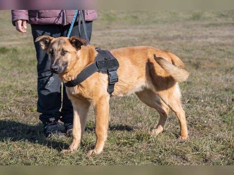 Anton SI - fröhlich, menschenbezogen