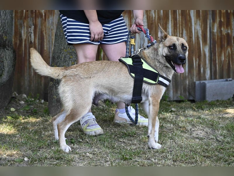 Dolores SI – lustig, neugierig