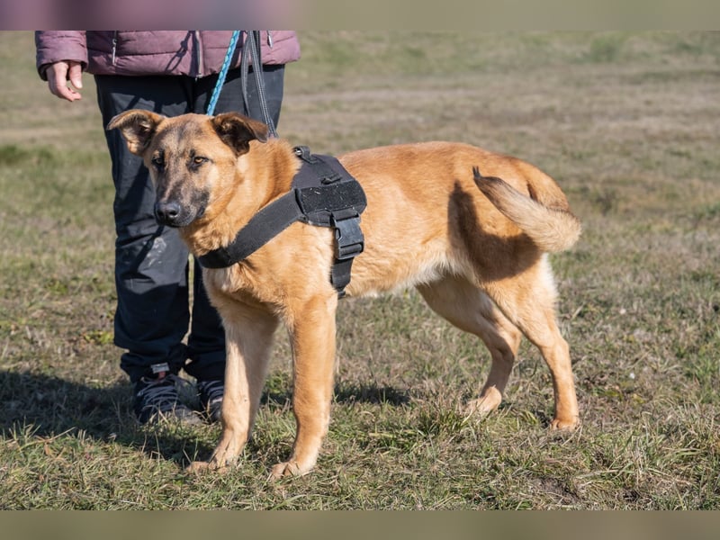 Anton SI - fröhlich, menschenbezogen
