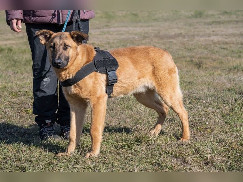 Anton SI - fröhlich, menschenbezogen